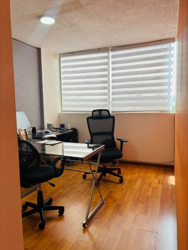 Área de trabajo
